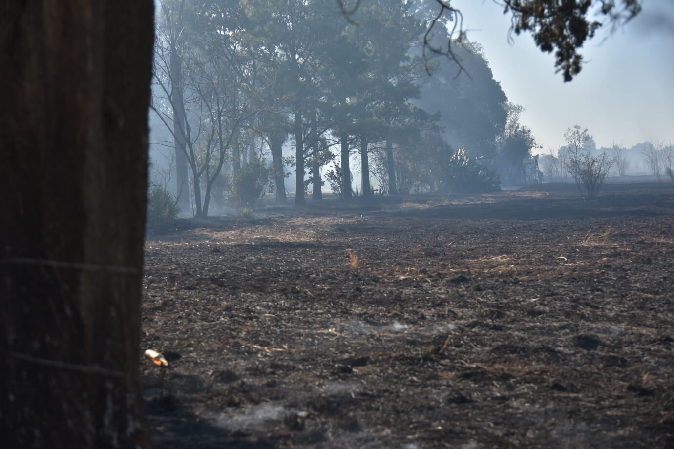 Voraz incendio en barrio Procrear Liceo. (Facundo Luque / La Voz)