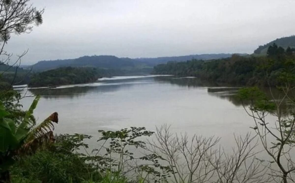 El Soberbio: casi diez toneladas de soja fueron incautadas