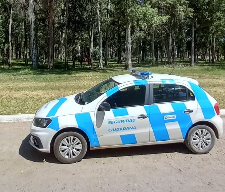 Seguridad Ciudadana asistió a caballos en horas de la siesta