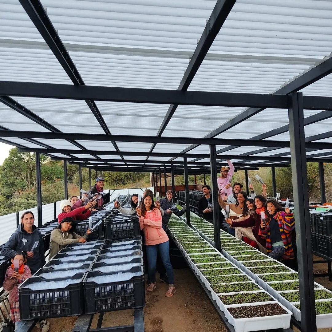 Un proyecto ecológico que apunta a reforestar las Sierras Grandes de Córdoba.