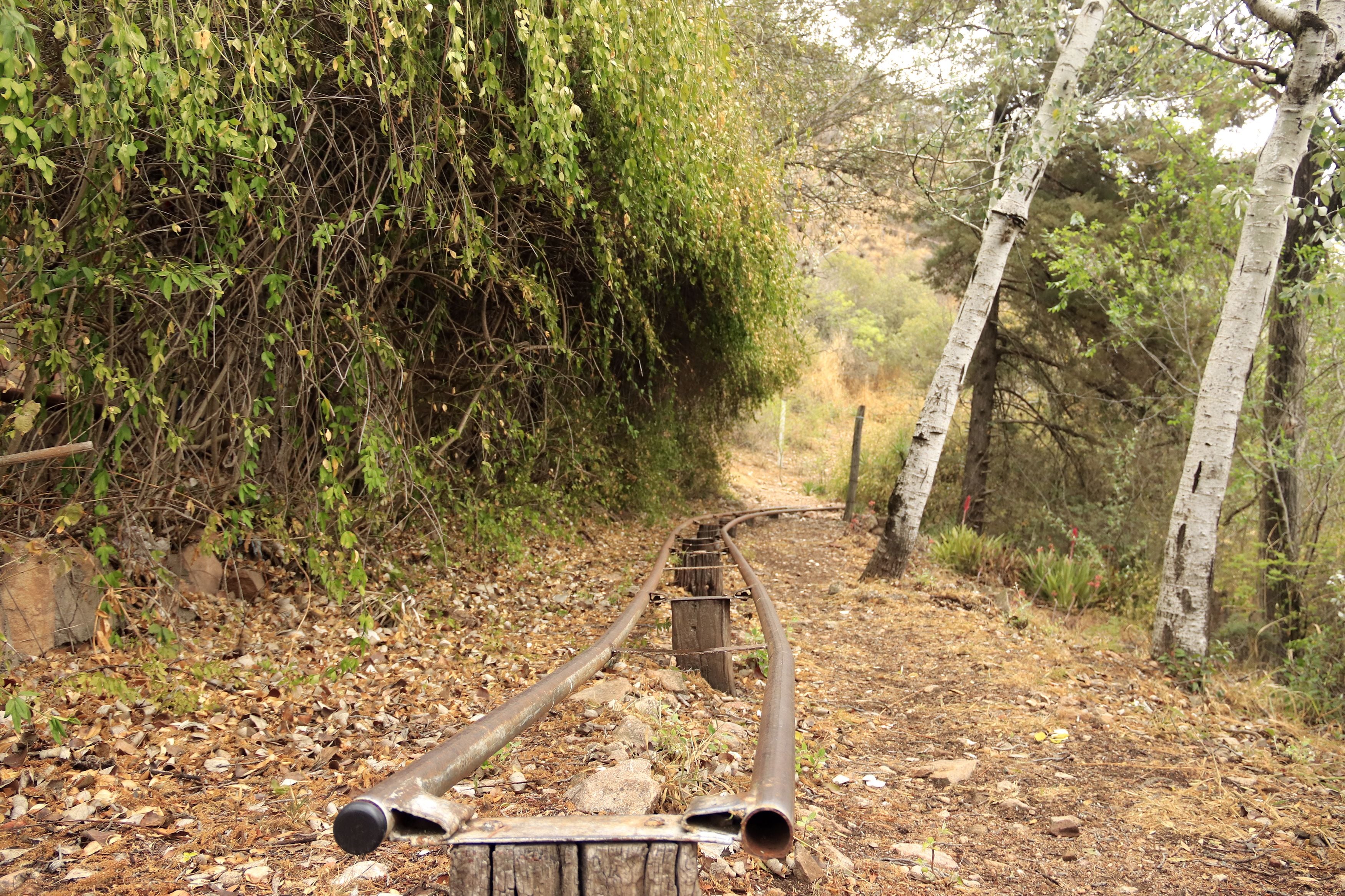 Aula ambiental en Carlos Paz en la ex Montaña Mágica