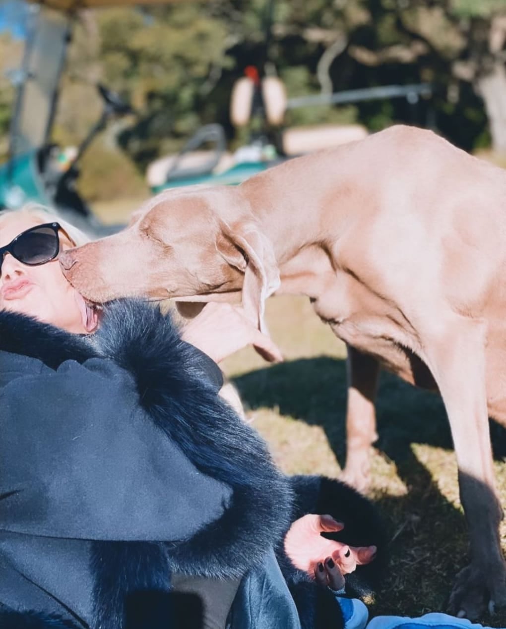 Susana Giménez y su perro