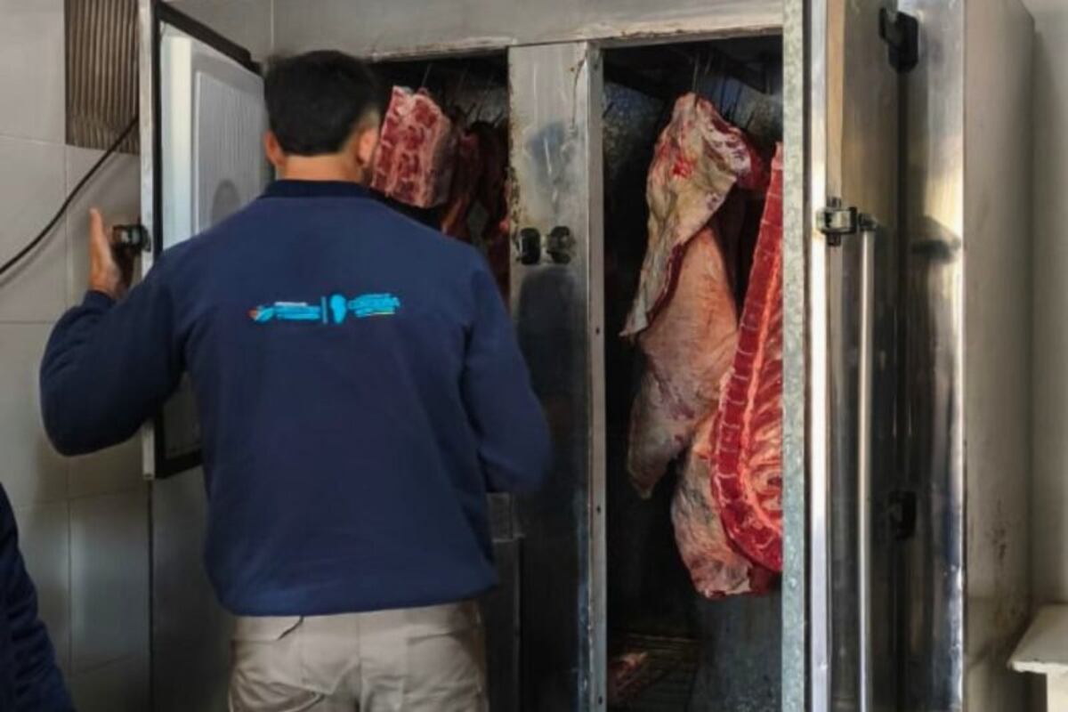 Faena clandestina: secuestran más de 300 kilos de carne en mal estado en Córdoba