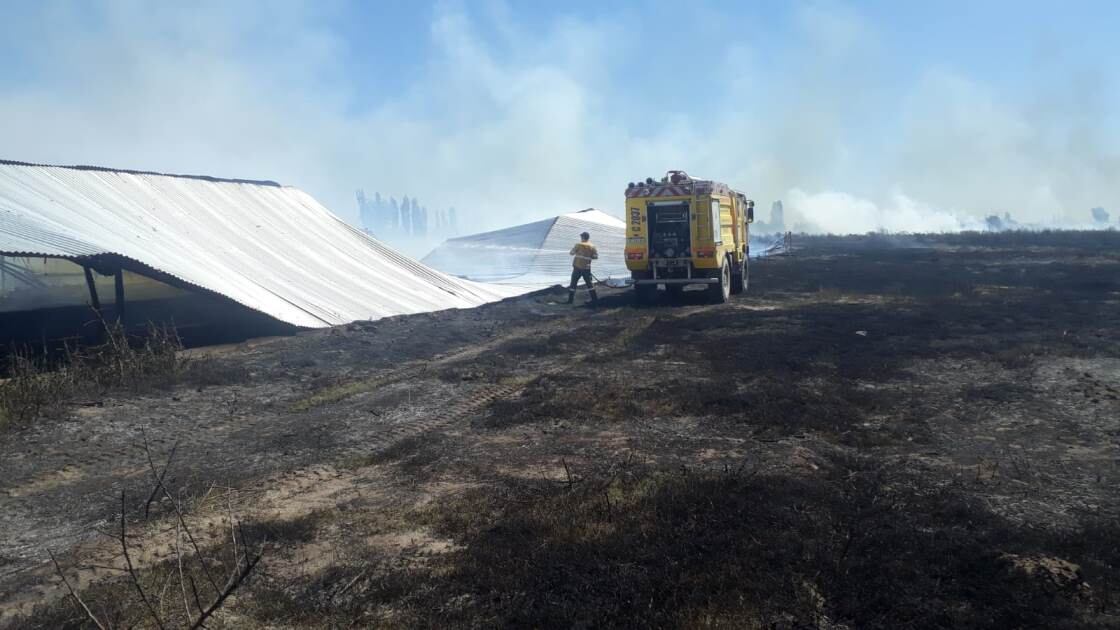 El incedio provocó pérdidas cuantiosas en la Avícola Monte en Monte Comán. 