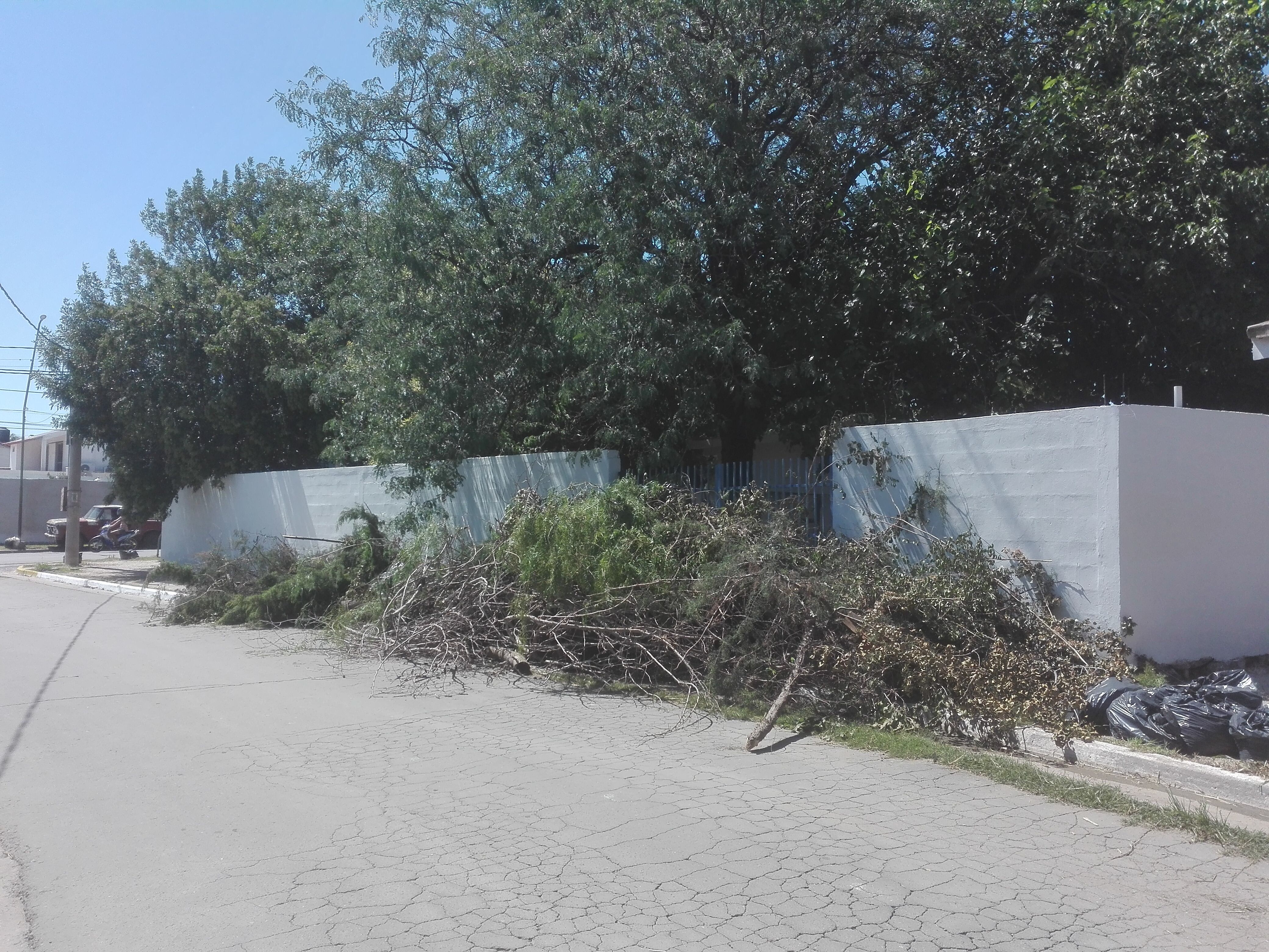 Desmalezado de la escuela San Martín