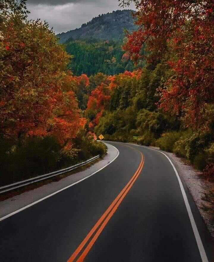 Los paisajes otoñales que rodean las rutas de Neuquén y decoran el camino.