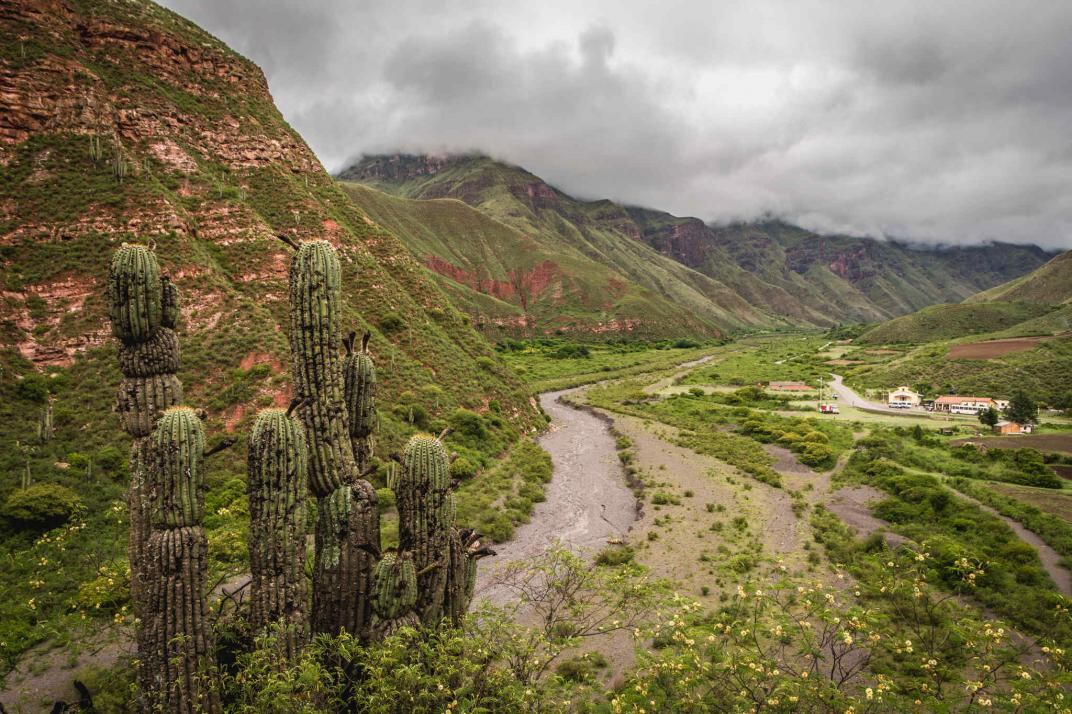 El camino hacia Cachi es un viaje en sí mismo. (Booking.com)