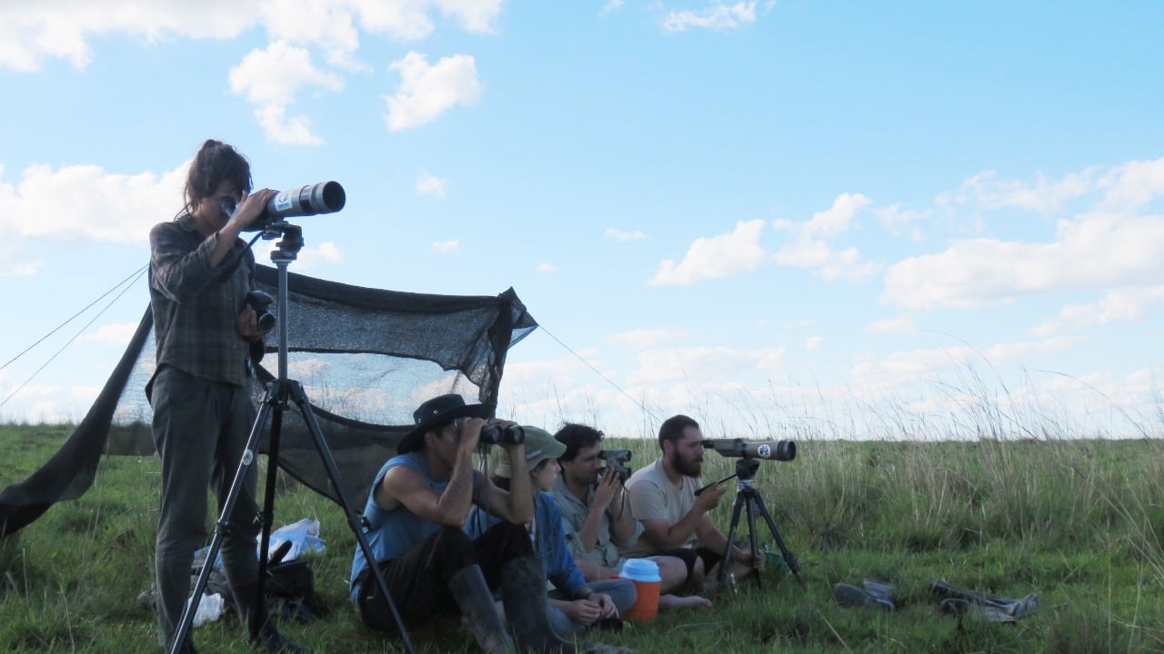 Los voluntarios del proyecto Tordo Amarillo.