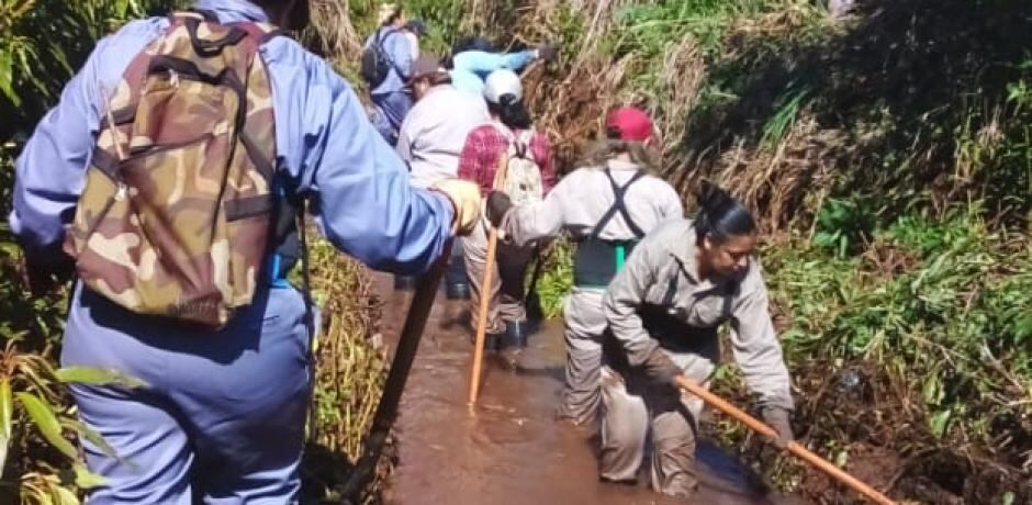 Continúan las tareas de “abordaje territorial ambiental” en barrios de Eldorado.