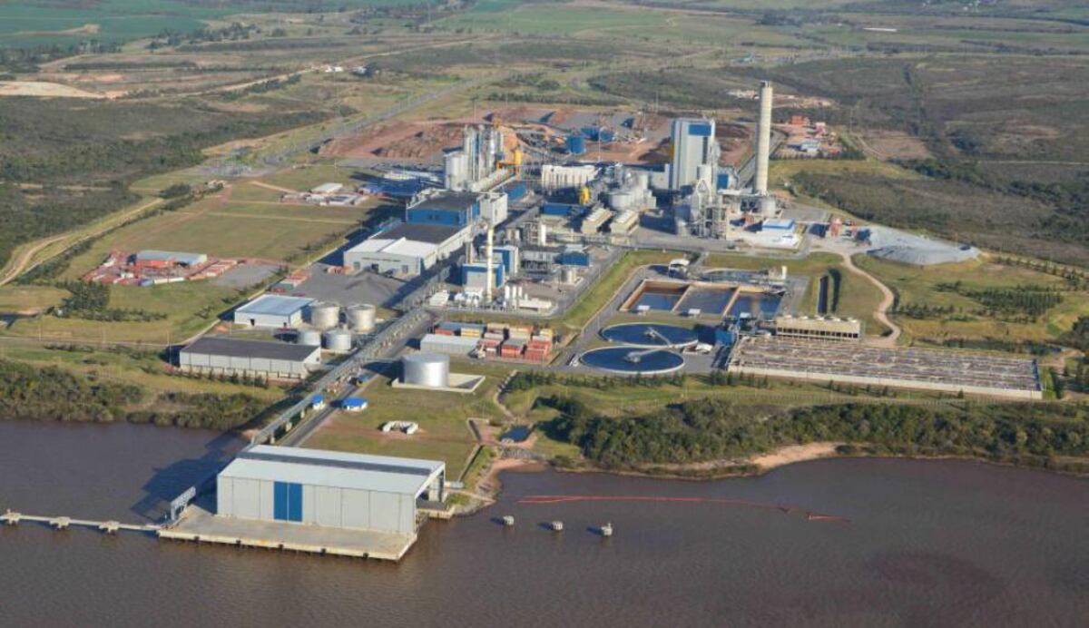 Gualeguaychú se reunió con la CARU por la situación ambiental del río Uruguay