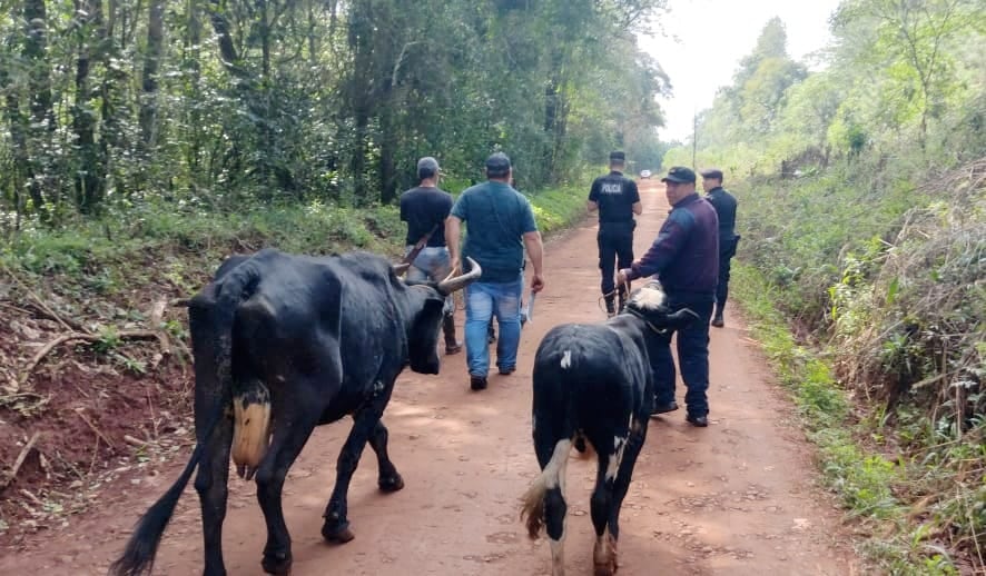 Efectivos policiales recuperaron dos animales en San Antonio.