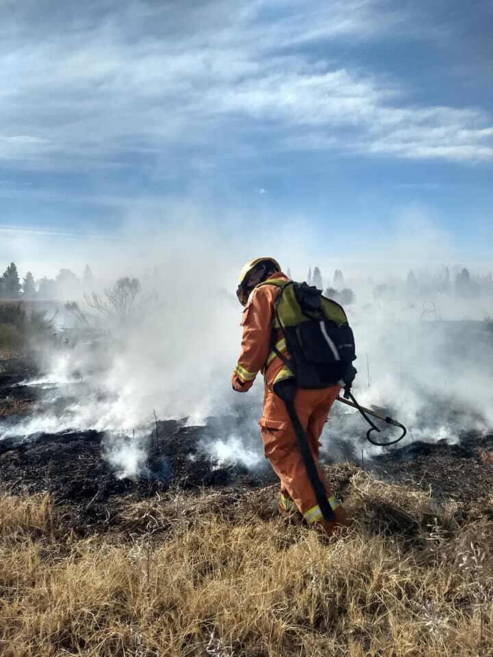 En total son 52 los bomberos y las bomberas que trabajan en el cuartel de Bomberos Voluntarios de Guaymallén.