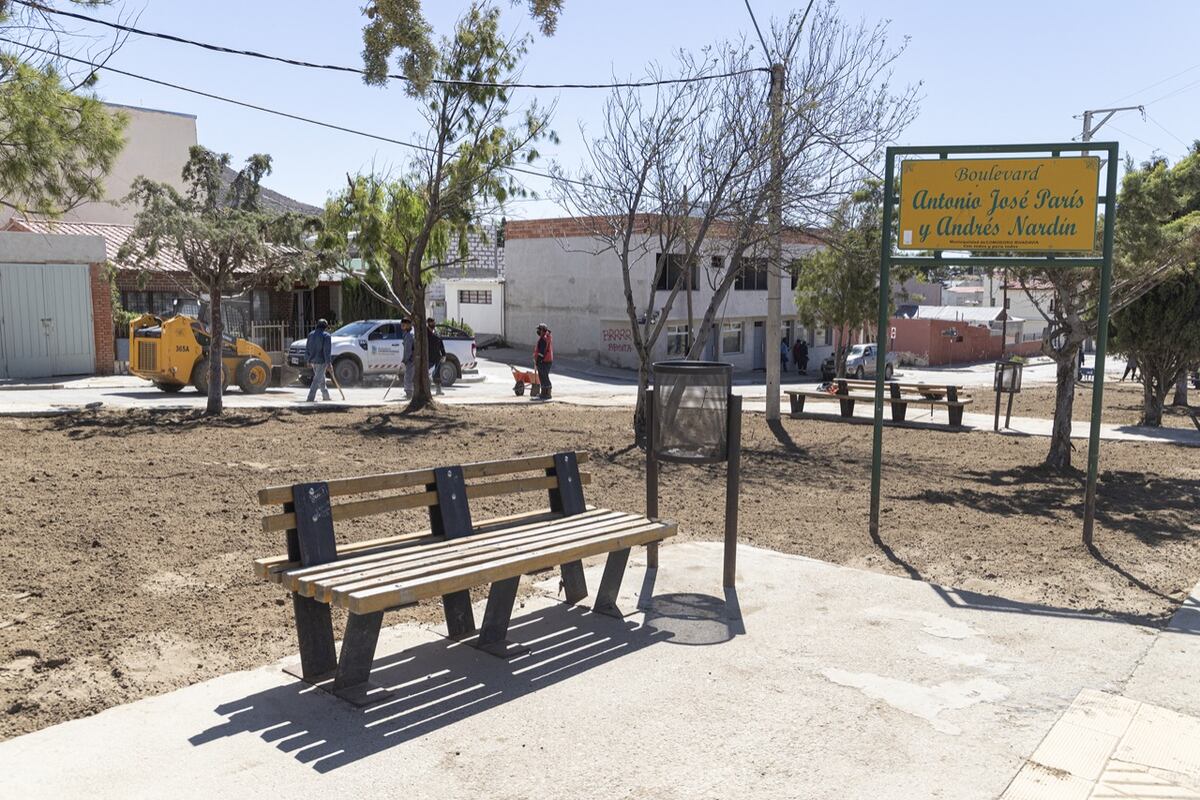 Reacondicionan espacios verdes de la ciudad
