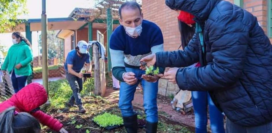 Tips para una huerta en casa.