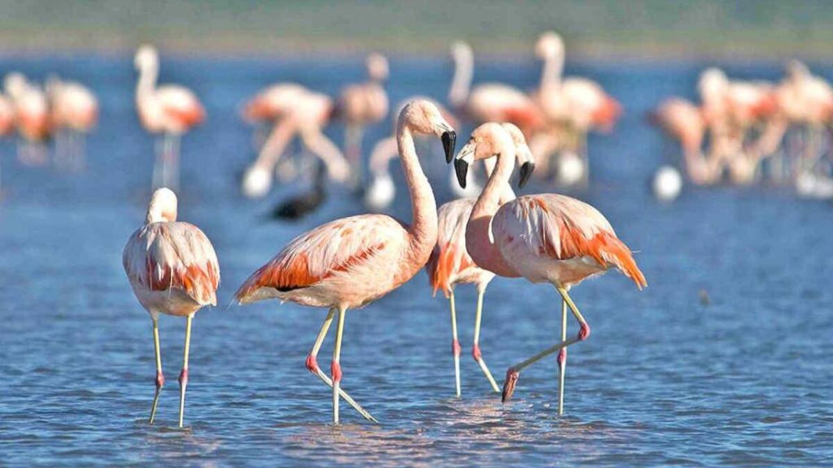 Clima en Ansenuza: cómo estará el tiempo para este miércoles 19 de mayo