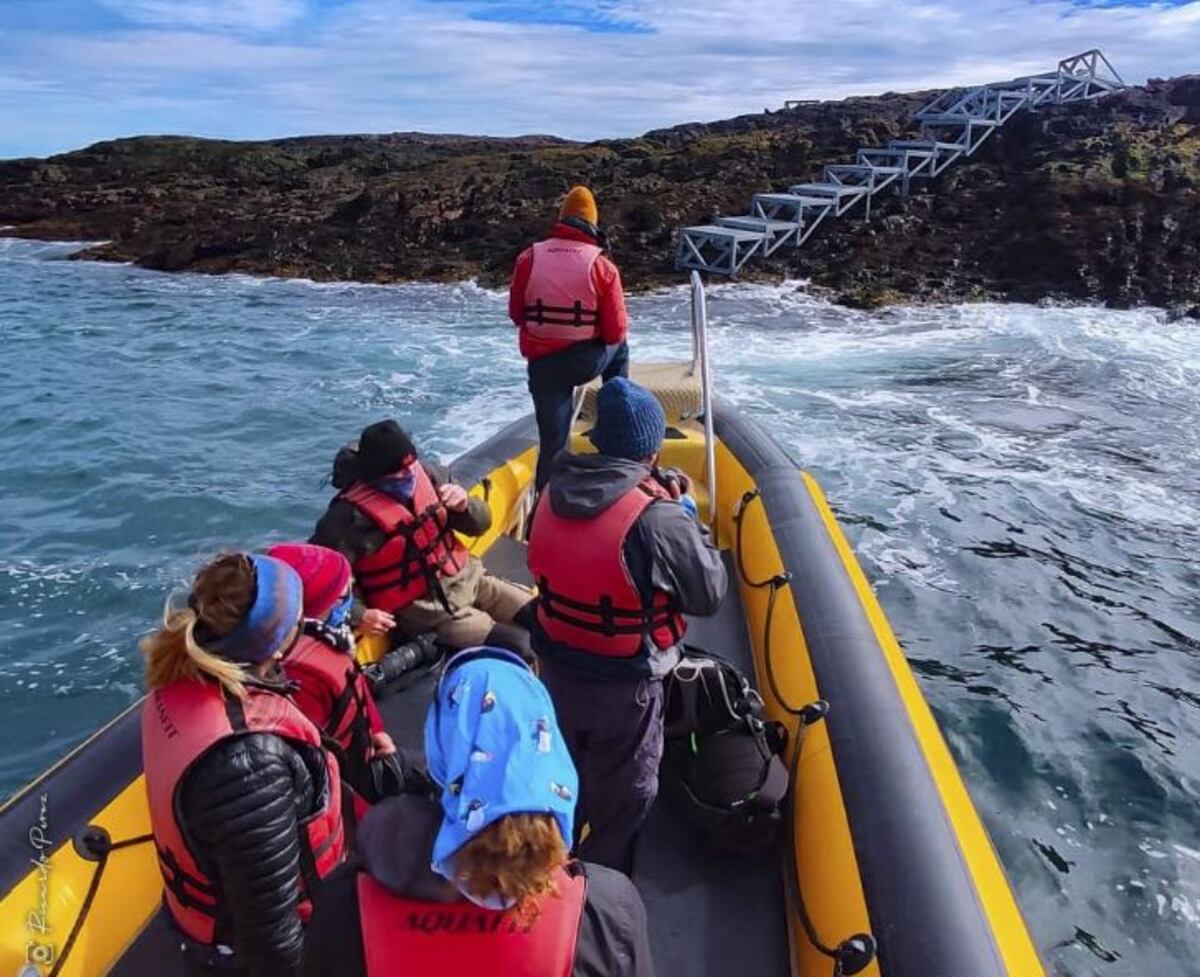 La Isla Pingüino al alcance de la mano