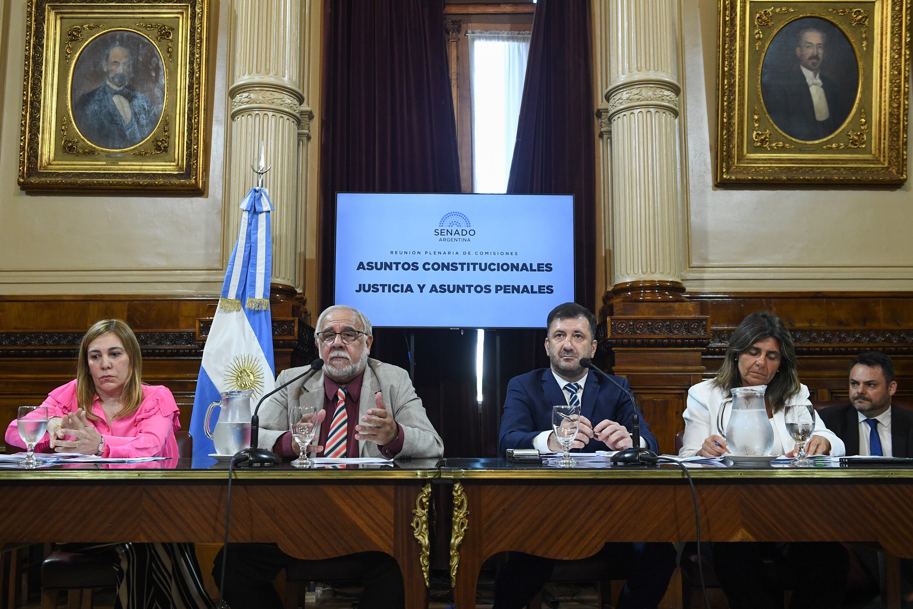 Los senadores Juan Carlos Pagotto y Edgardo Kueider, presidentes de las comisiones de Justicia y de Asuntos Constitucionales del Senado, encabezaron el debate sobre la boleta única (Foto: Comunicación Senado)