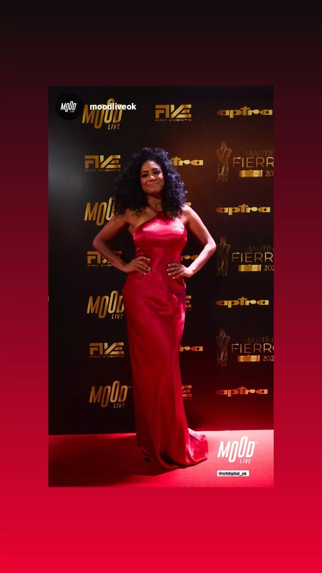 La modelo panameña en los Premios Martín Fierro Digital. (Foto: Instagram).