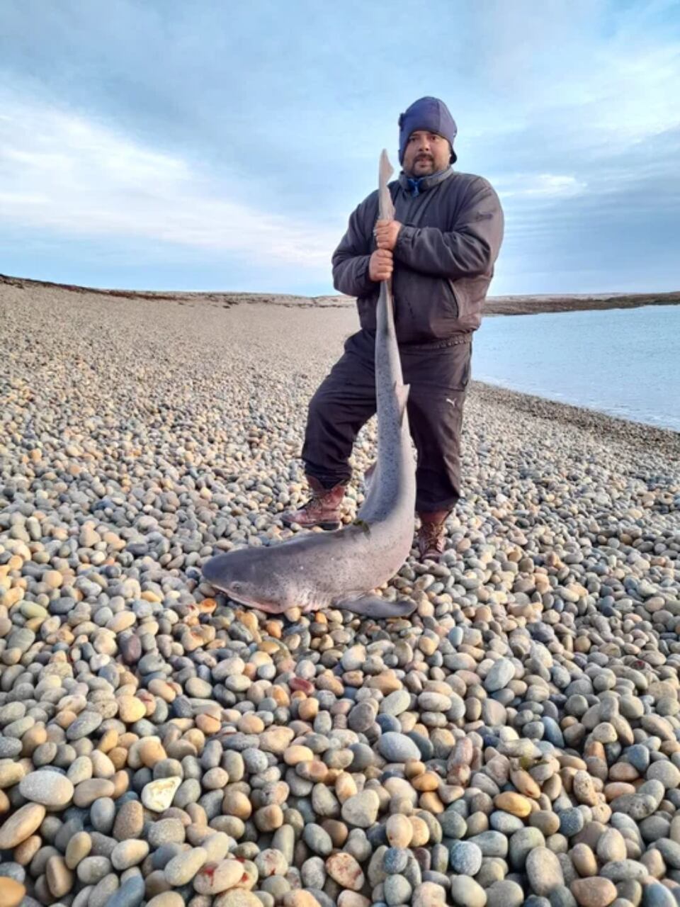 Julio Molina batió su propio récord, pescó un tiburón de 115 kilos.