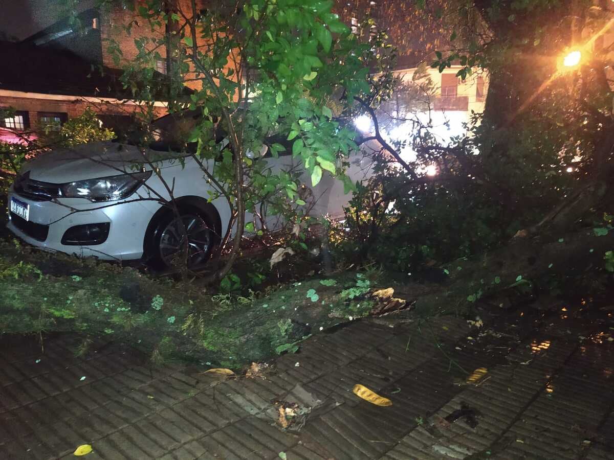 El temporal en Posadas registró serios inconvenientes y daños