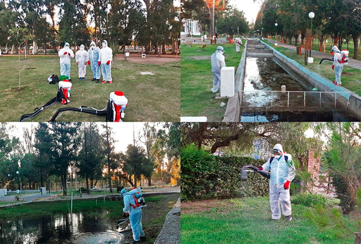 Los parques provinciales de San Luis serán fumigados