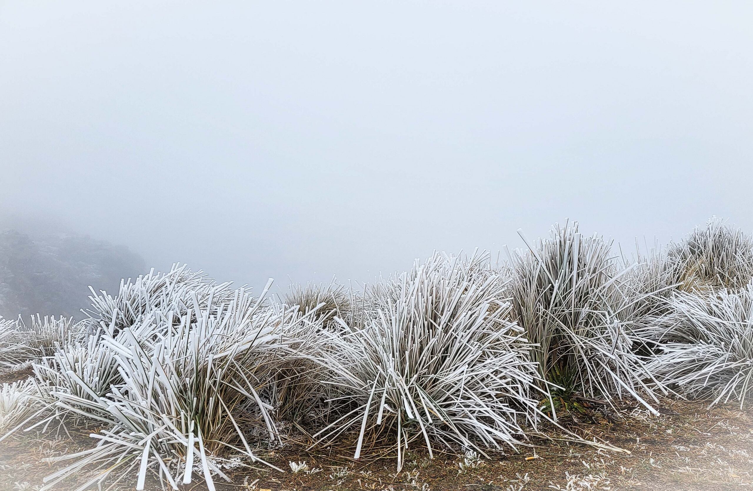 Nieve en San Luis, Villa de Merlo