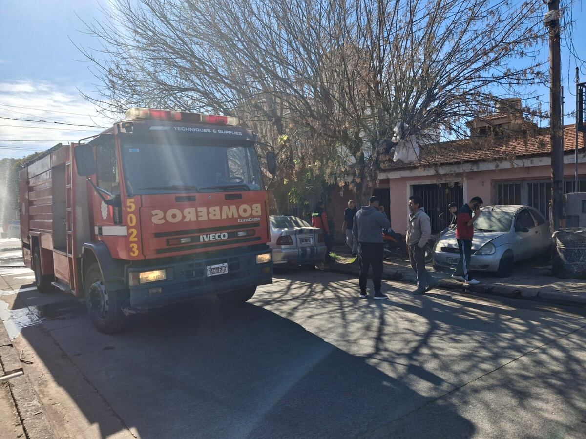 Emocionante: rescataron a un gato y lo revivieron con primeros auxilios en Córdoba