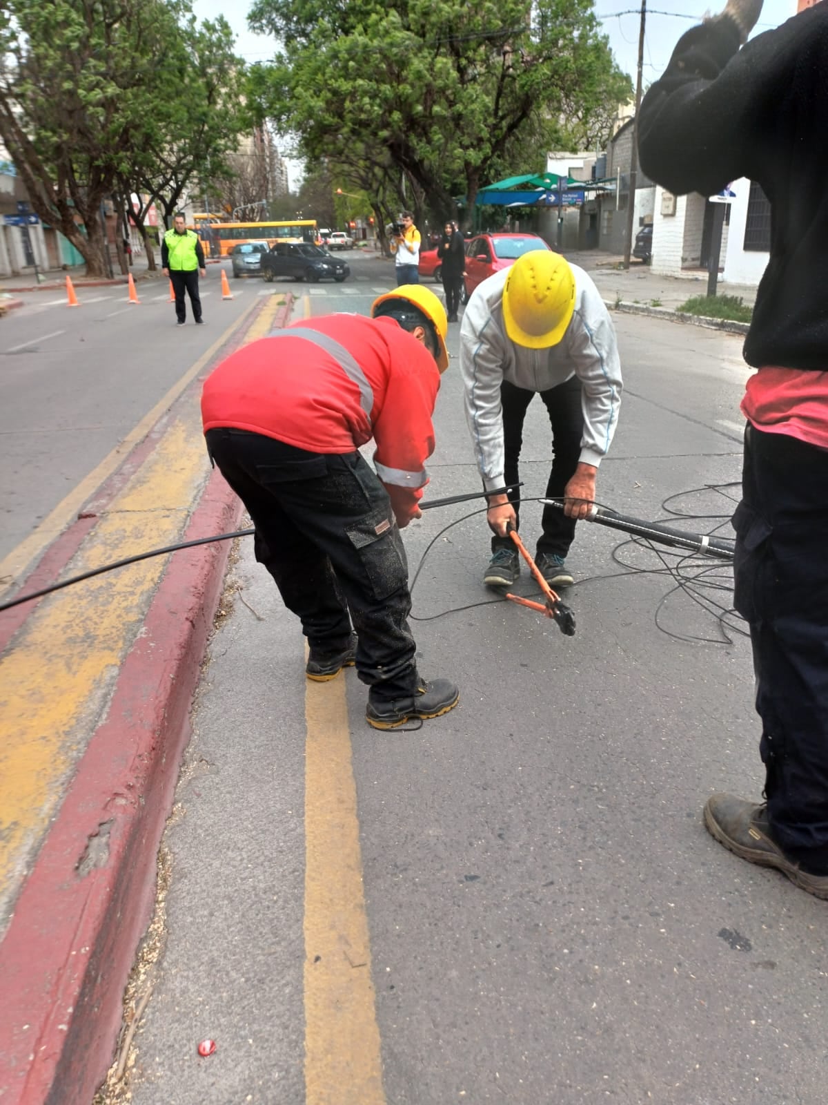 Los trabajos de Defensa Civil de la Municipalidad este lunes tras los fuertes vientos que llegaron a Córdoba. (Municipalidad de Córdoba)