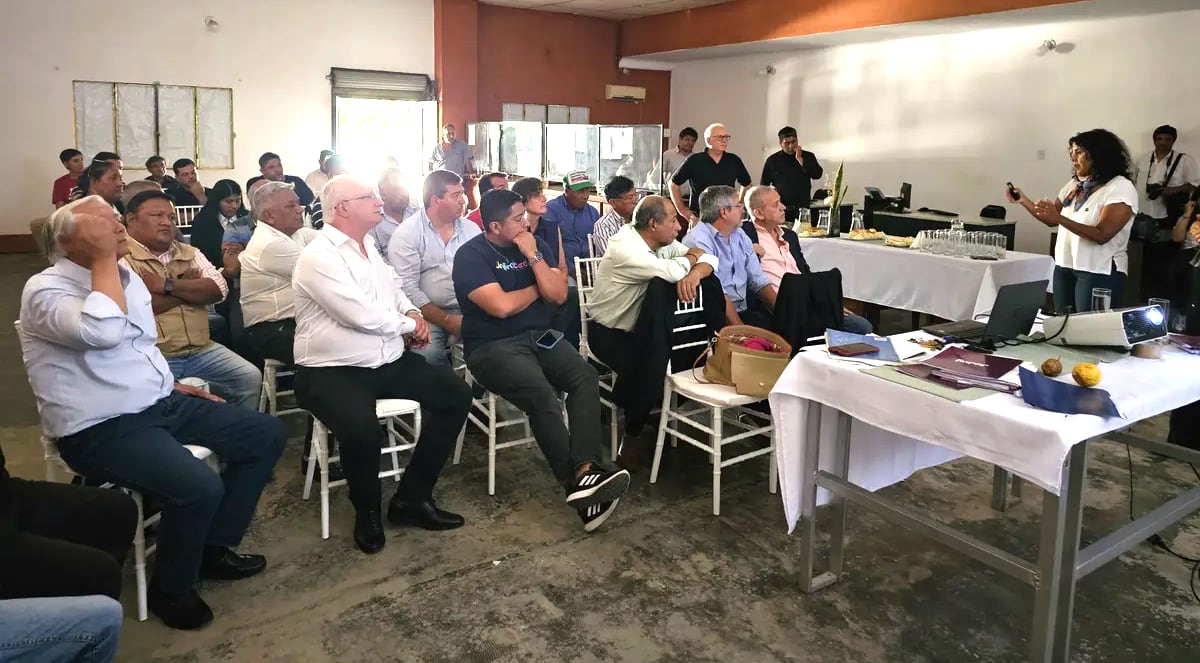 El Ministerio de Desarrollo Económico y Producción de Jujuy formalizó el lanzamiento oficial del "Programa de Desarrollo de las Cuencas de Frutas Tropicales de Yungas y Valles Templados".