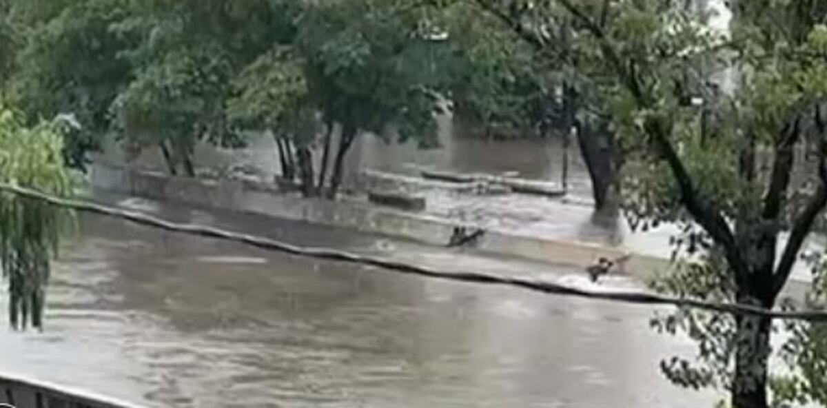 Encontraron el cuerpo del joven que fue arrastrado por el agua en medio del temporal en León Suárez