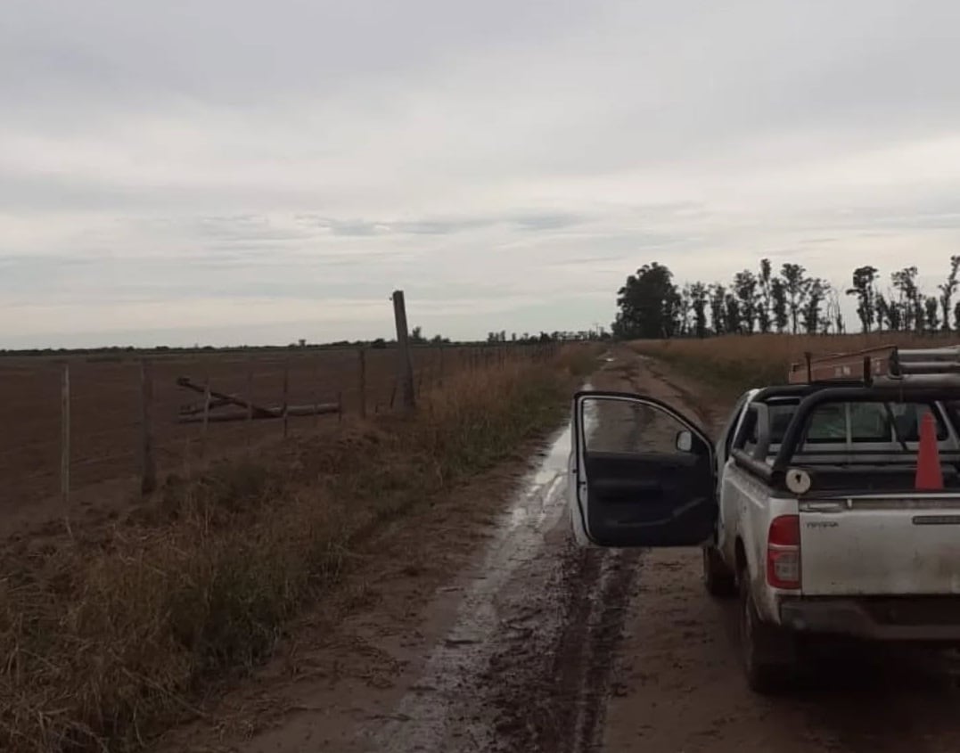 Guardia Electrica de CESPAL trabajaron para restituir el servicio eléctrico rural