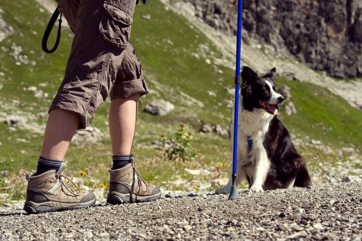 Merlo: se hará el primer trekking saludable con mascotas