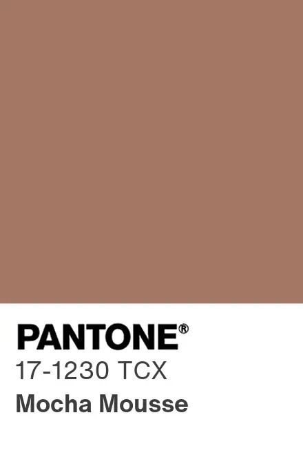 Mocha Mousse, el color del 2025 según PANTONE.