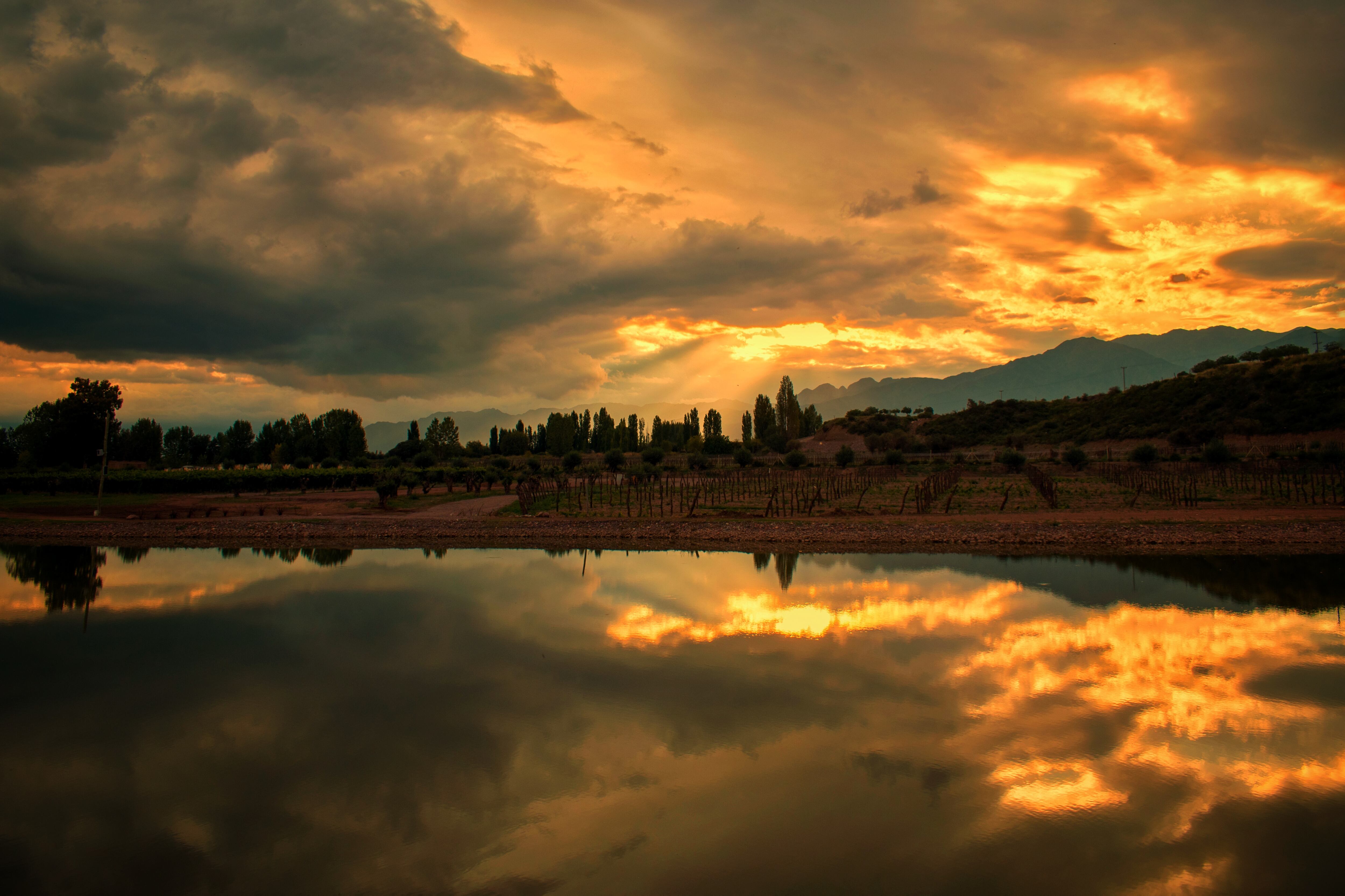 Sunset en bodega, imagen ilustrativa. 