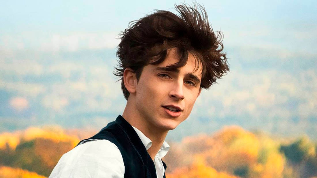 Timothée Chalamet