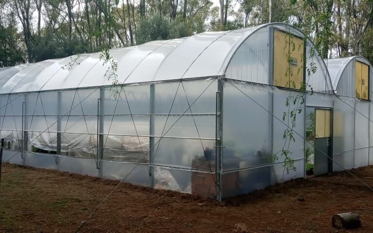 Obras en el invernadero del vivero