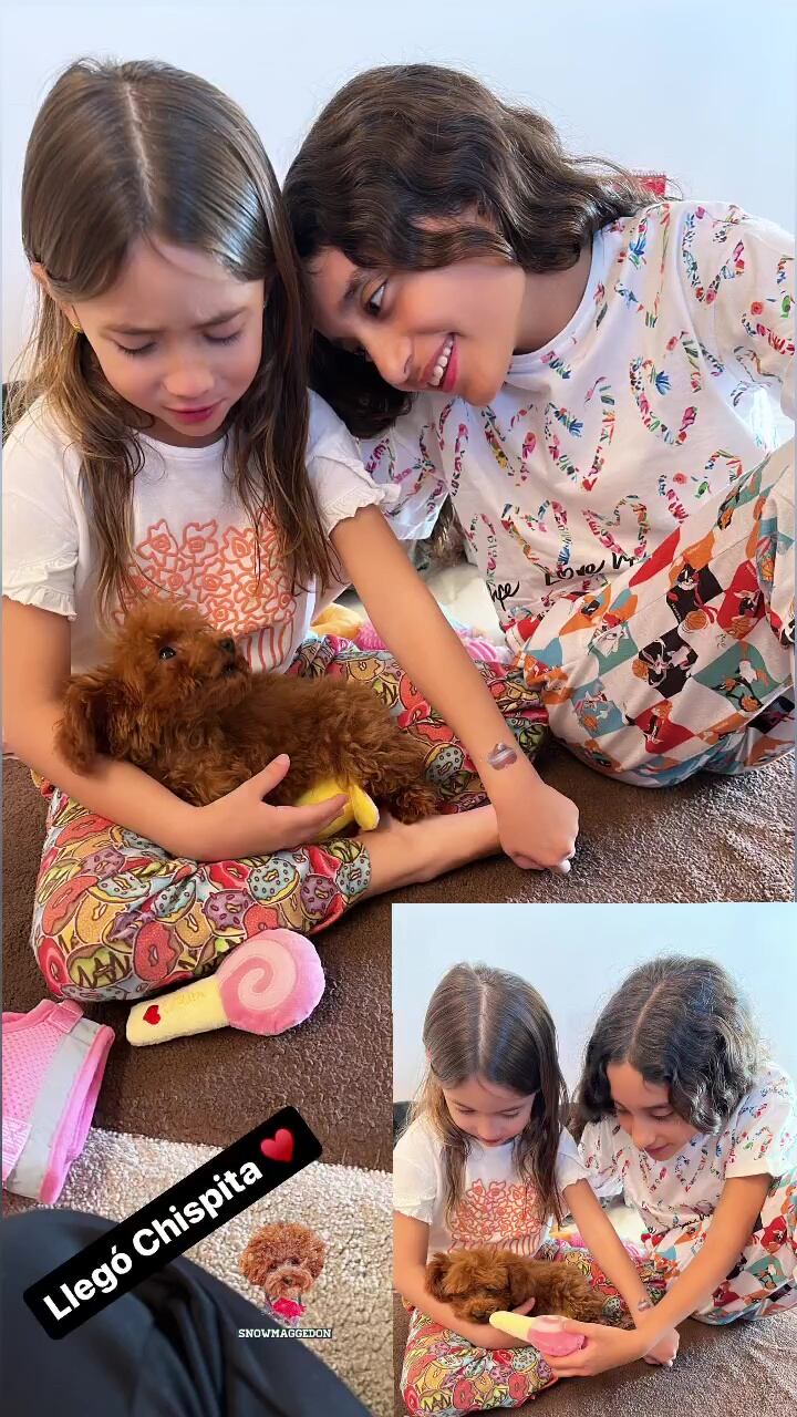 Las niñas se derritieron de amor con el pequeño animal doméstico.