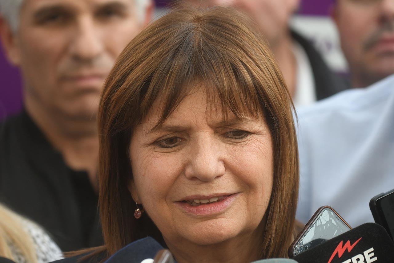 Cierre de campaña de Patricia Bullrich, candidata a presidenta de la nación, y Luis Petri, candidato a vicepresidente. El acto se realizó en el parque O´Higgins, de Mendoza, y asistieron dirigentes, candidatos y militantes.
 Foto: José Gutierrez / Los Andes 