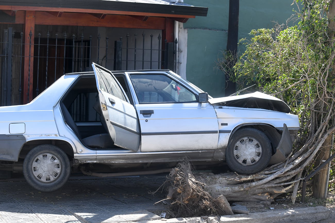 Ladrones robaron un auto con una mujer adentro y lo estrellaron contra un árbol. (Ramiro Pereyra / La Voz)