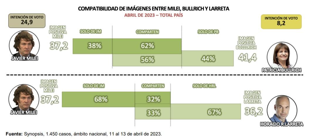 La situación del Pro con Javier Milei.