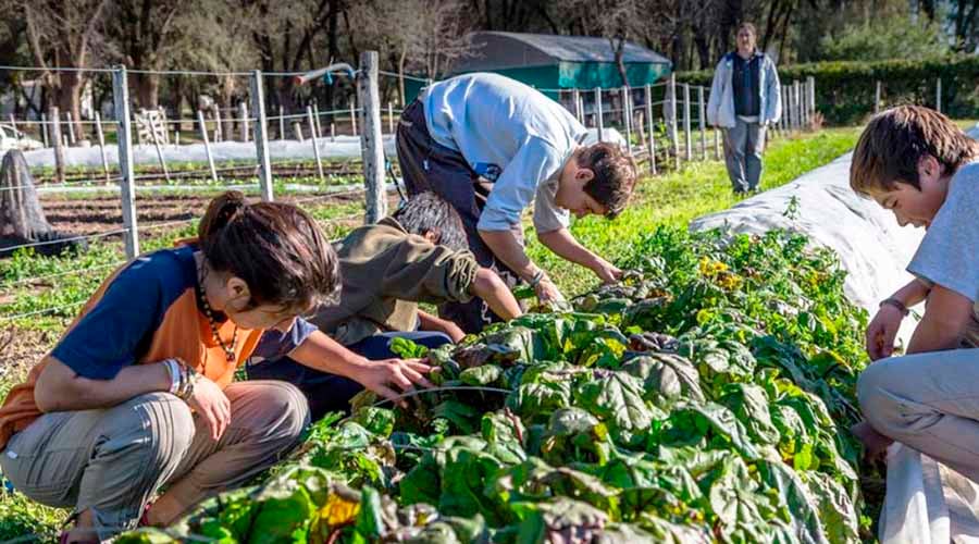 El 90% de la matrícula usa el internado ya que no residen en Realicó 