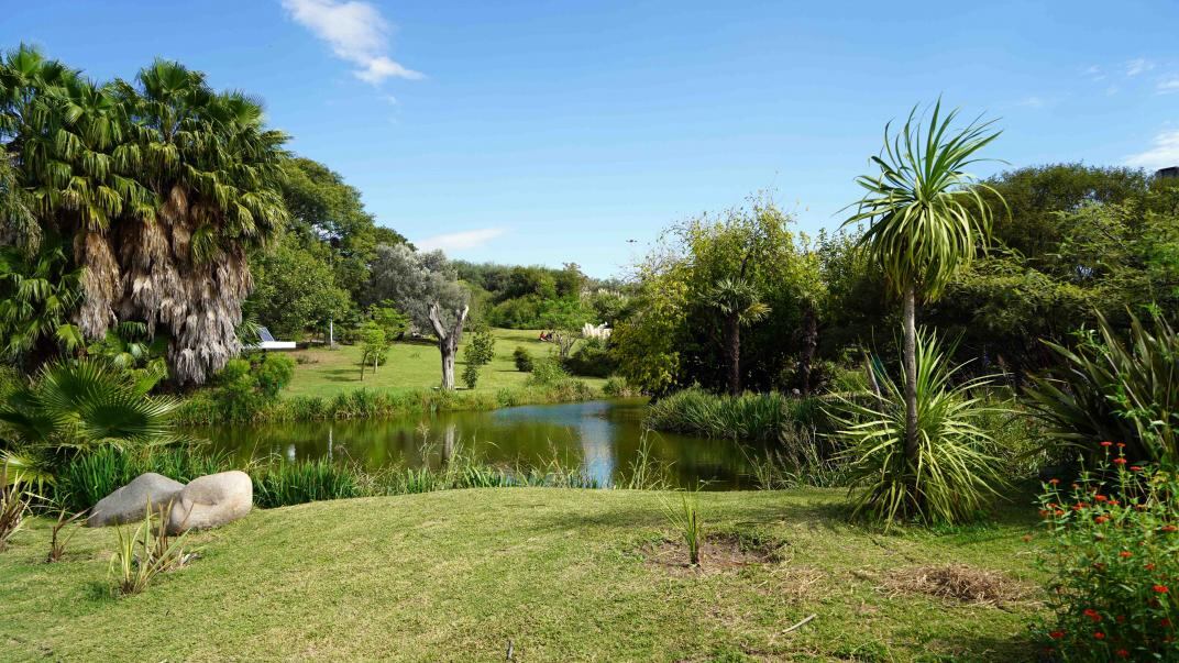 El Jardín Botánico, una opción natural en el centro de Córdoba. Fotos: Daniel Santos