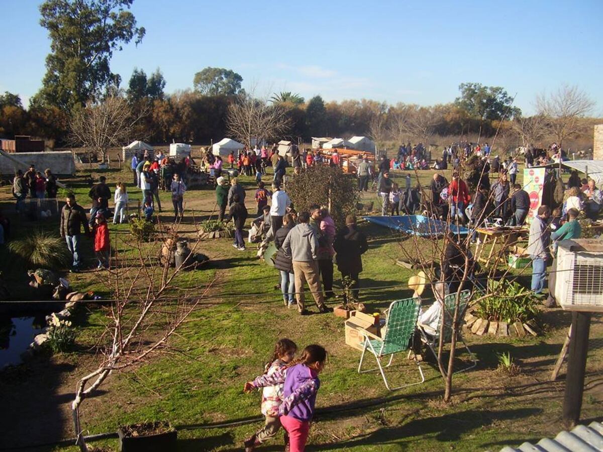 “Día de campo y feria rural” con cata de aceite de oliva en Villa Arias