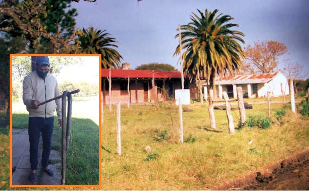 Una víbora de gran tamaño apareció en el baño de una escuela entrerriana