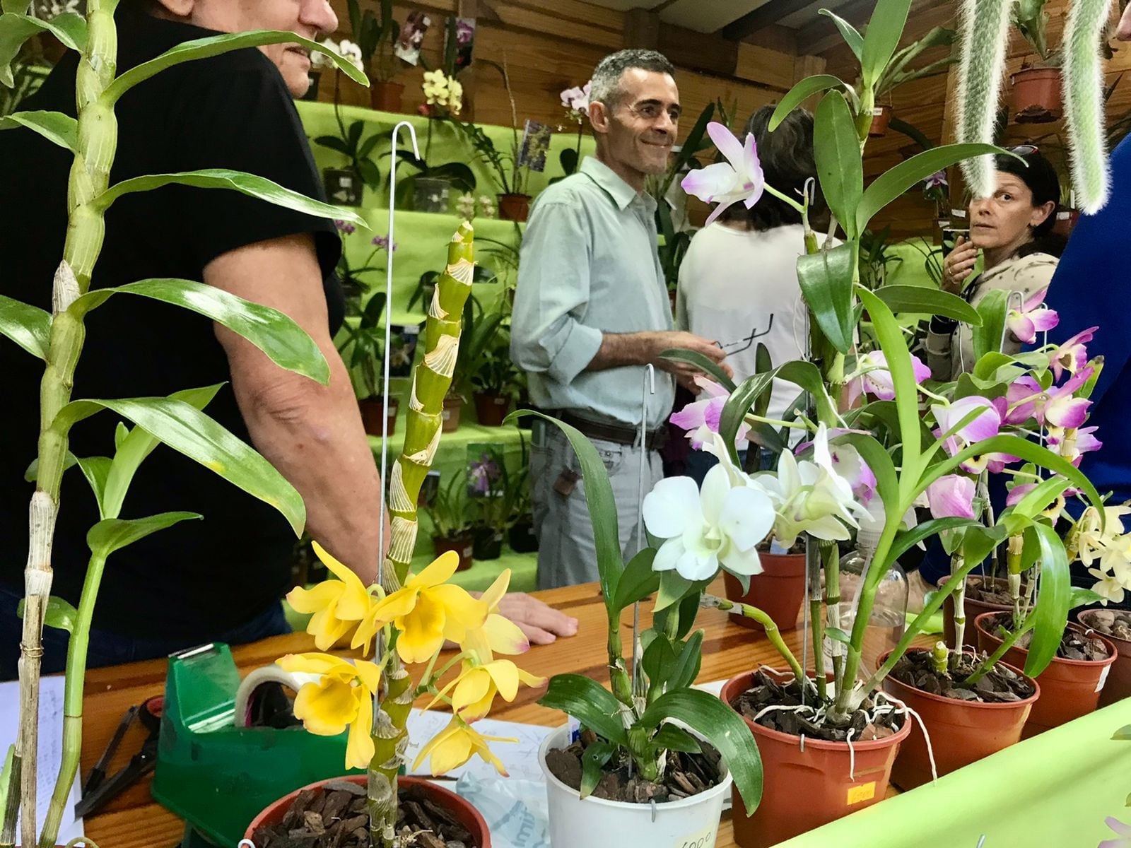 Exitosa Fiesta Nacional de la Orquídea y Provincial de la Flor en Montecarlo.