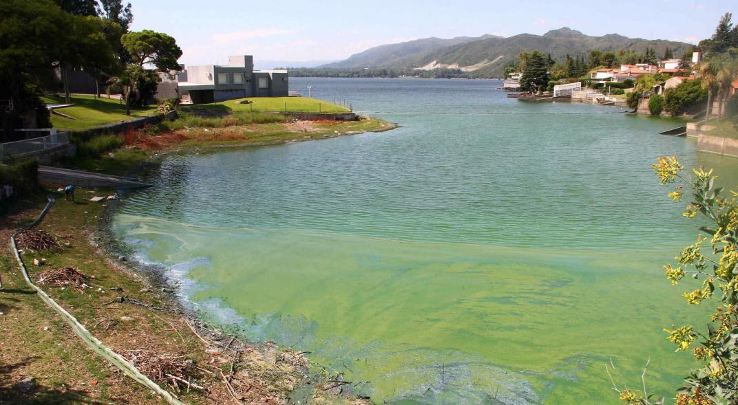 A la vista. Así se veía ayer uno de los sectores del embalse de Punilla, que luce tapizado por las cianobacterias verdeazuladas. (La Voz)