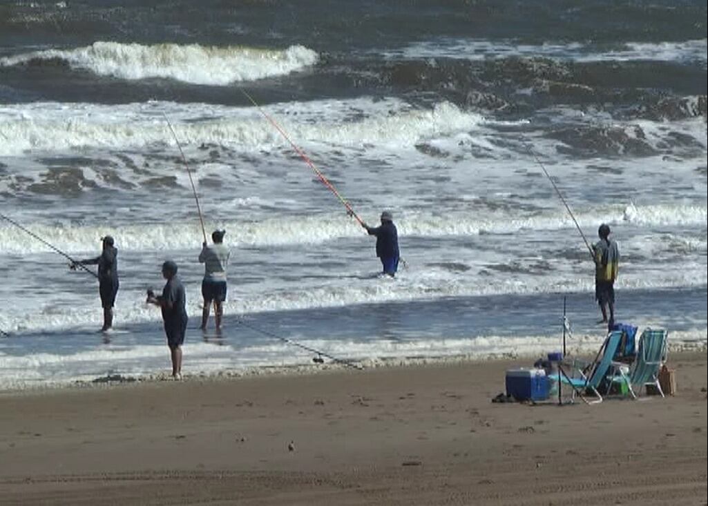 limpieza de las playas durante las 24 Horas de la Corvina Negra