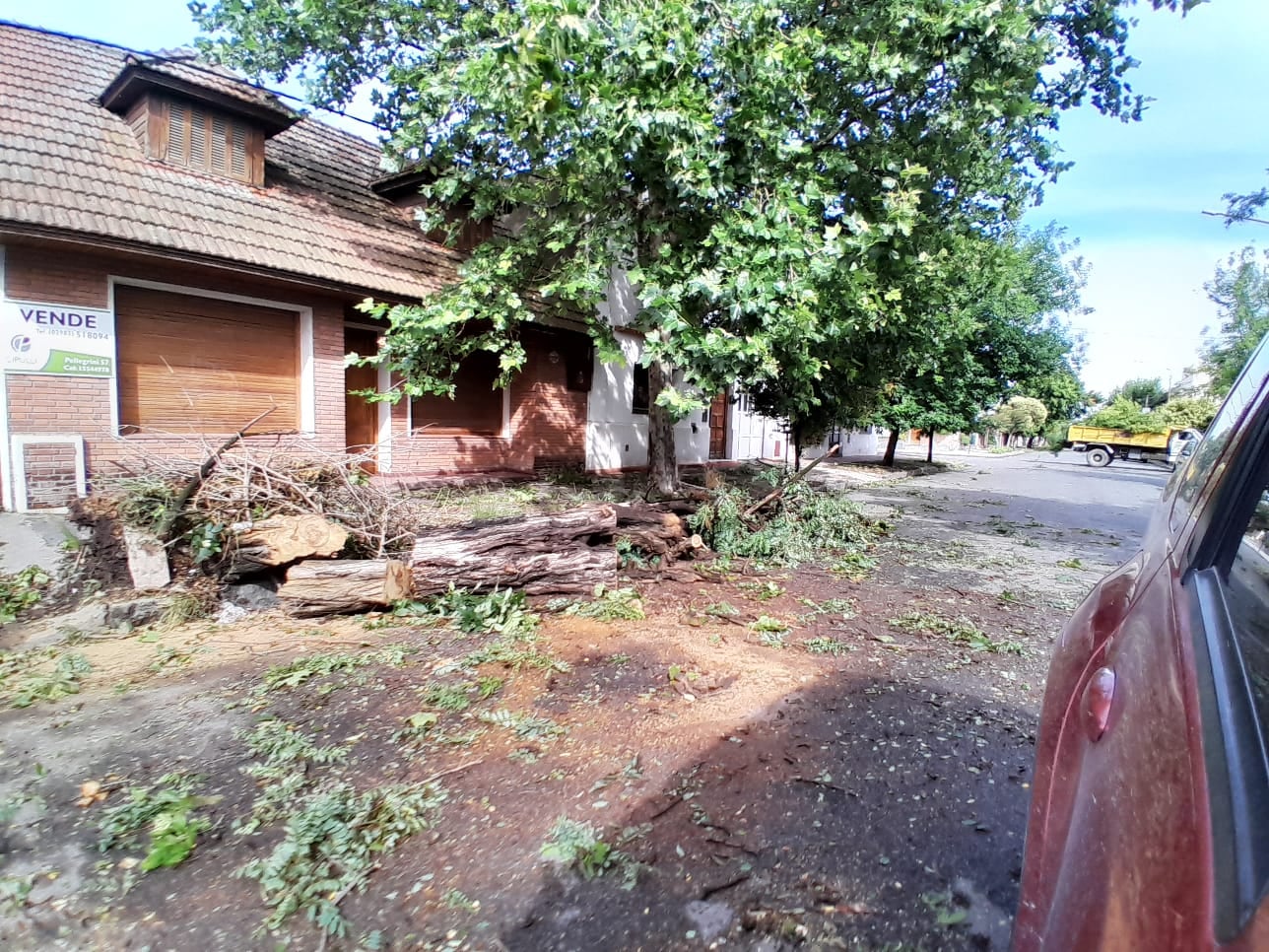 Temporal en Tres Arroyos: evacuados, árboles  caídos, techos volados y daños