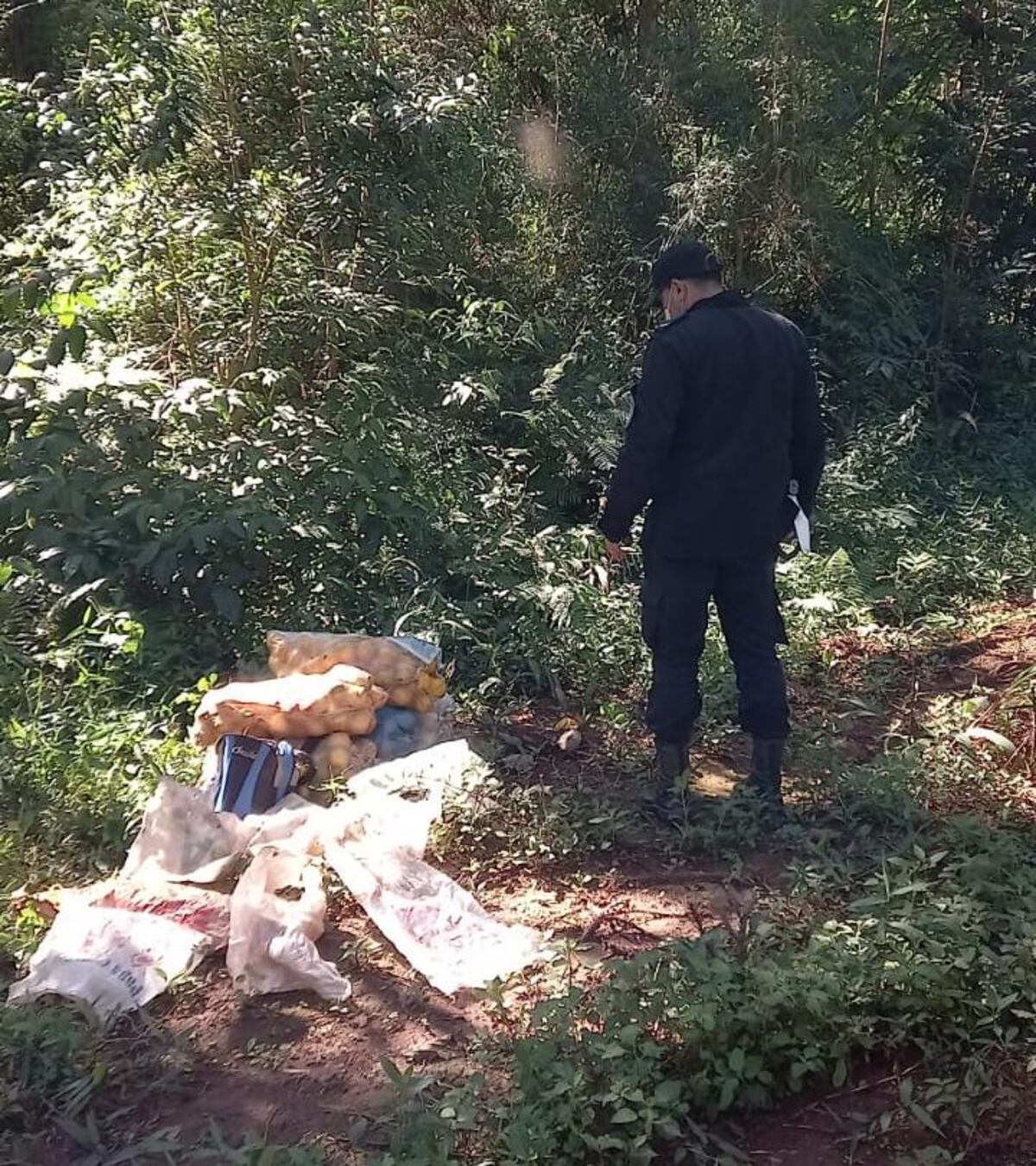 Un detenido y dos demorados por la sustracción de cítricos