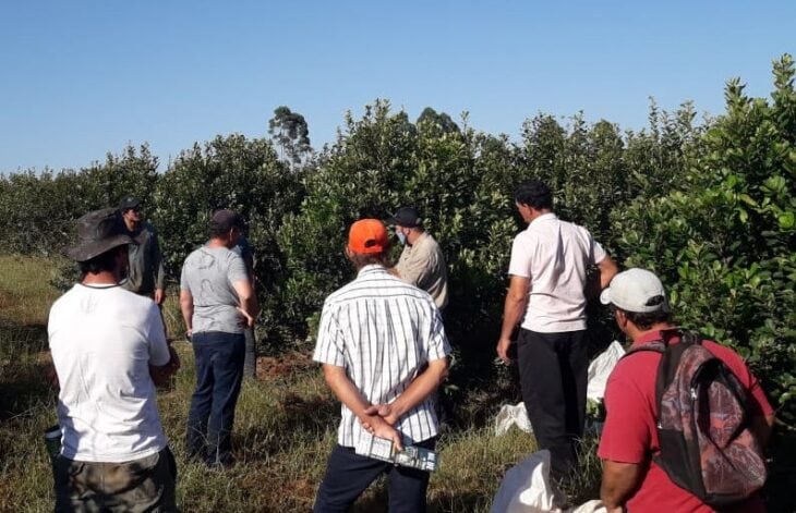 Capacitación a productores en Wanda